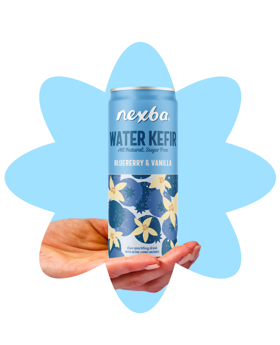 Blueberry & Vanilla Water Kefir